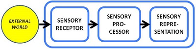 Basic Anatomy of a Knower